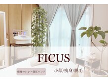 フィカス(FICUS)の雰囲気（完全貸切の贅沢空間♪）