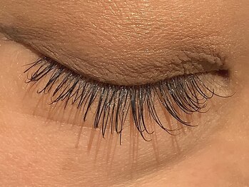 カラン 焼津店(CALIN)/フラットラッシュ120本