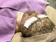 スプレミア(spuremia)の写真/【業界最高級"リアボーテ"のハーブピーリング】10回のエステより1回のハーブ☆毛穴/たるみ/ニキビケア◎