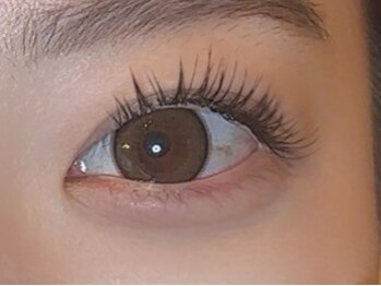 バンビズルーム(Bambi's Room)/フラットラッシュ