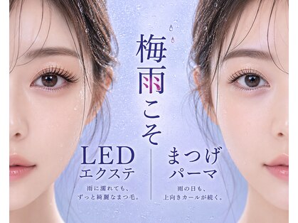 アディクト(ADDICT)の写真