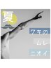 【賢い男の夏支度】両ワキ【特別価格】￥3,300→￥1,650