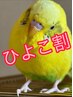 【安東限定☆】バリ式リンパ60分＆ヘッドｏｒ足ツボ15分　SET　75分　