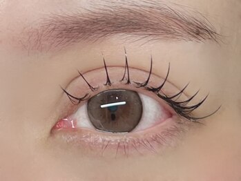 ハーフバックス 堀之内店/フラットラッシュ