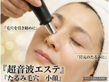 オリーブ(Olive)