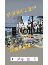 サーディン(sardine)/