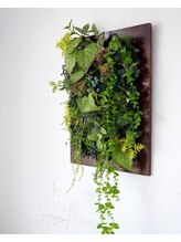 リュミエール デスポワール(Lumiere d'espoir)/こちらでお出迎え