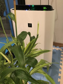 晴れる屋/空気清浄機