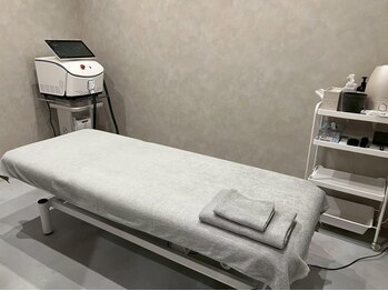 ザ サロン 新潟(The Salon)の写真/【完全個室】契約不要！都度払いなので通いやすさ◎敏感肌の方も施術可能♪[全身フル脱毛¥19800→¥9900］