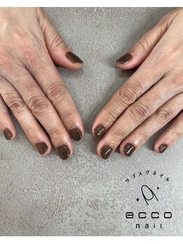 エッコネイル 京橋店(ecco nail)/ワンカラー