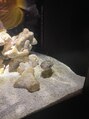 アベリア リュウ(Aberia Lieu)&nbsp;水族館大好きで、旅行先では必ず目的地です！