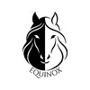イクイノックス 錦糸町(EQUINOX)のお店ロゴ
