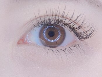 ジョリエル(JOLI.ELLE)/上下デザイン★