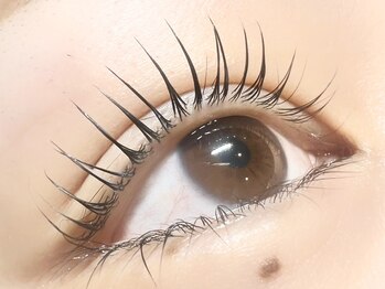 イデアル(ideal)/まつ毛パーマ