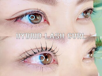 マロウ(mallow)/ハイブリッドラッシュカール