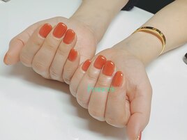 テラコッタ　ワンカラー