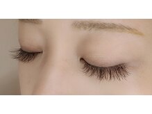 ルピナス(Lupinus)/フラットラッシュ 180本＊