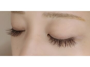 ルピナス(Lupinus)/フラットラッシュ 180本＊