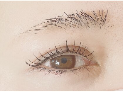 キキ(KiKi)の写真