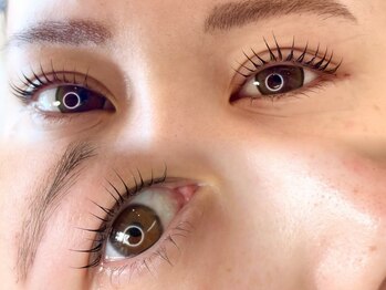 ボニート(Bonito)の写真/【円山公園コスパ◎】まつげパーマ￥3,900で流行りの束感まつげへ♪眉毛WAX（間引き込）￥3,500◎setも人気