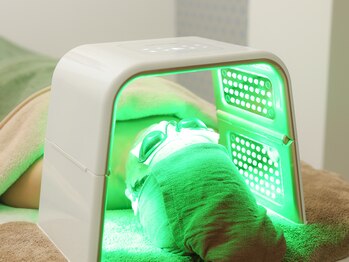 シャンディ(Shandy)/LEDオメガライト緑