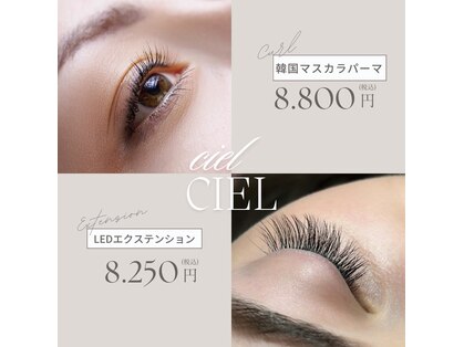 シエル(ciel)の写真
