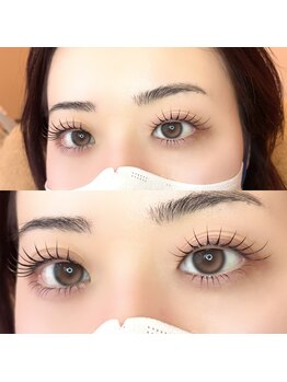 ロム(ROM)/上下lash lift/ラッシュリフト