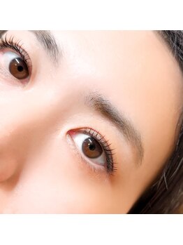 ポピー(POPPY)/フラットラッシュ140本