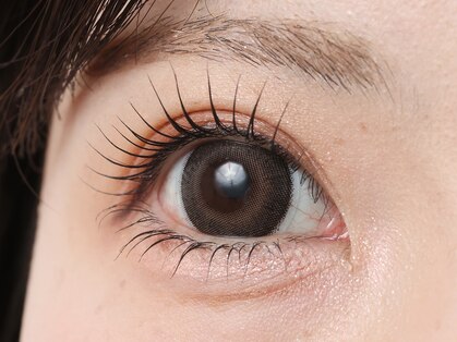 マーム(ma'am)の写真