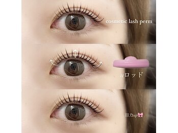 ディスコヘアアヴェダ アイラッシュ(disco hair AVEDA)