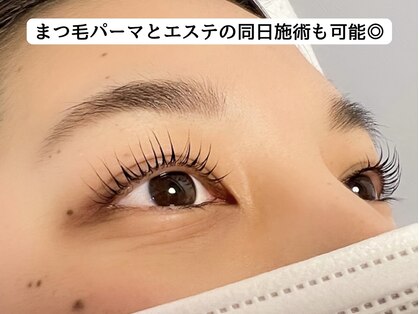 ファミーユ(famille)の写真