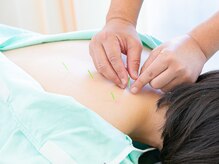 わかば鍼灸接骨院