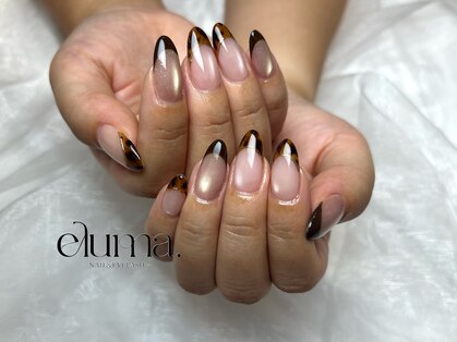 エルマ(eluma.)の写真