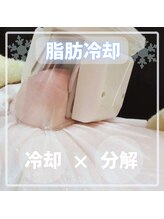 エステティック レイビス 函館店(RAYVIS)/医療でも人気な脂肪冷却！