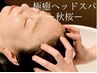 【スパニスト勝目指名限定】秋桜-cosmos-75分7700円