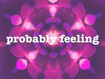 プロバブリーフィーリング(probably feeling)