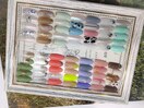 オフなし限定コースデザイン