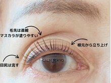 カルムトウキョウ 恵比寿本店(CALM TOKYO)/TRまつ毛パーマアイブロウ恵比寿