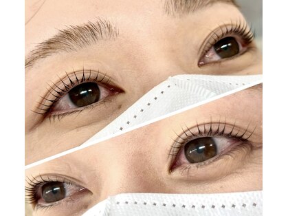 カフー(kafu)の写真
