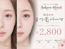 サクラブロウ 姫路(Sakura-blow)