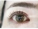イデアル(ideal)の写真