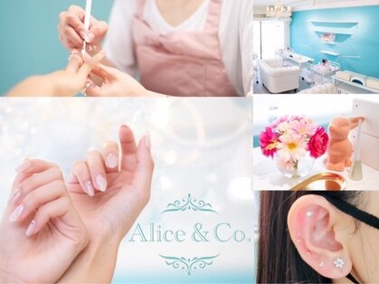 アリス アンド コー(Alice&Co.)の写真