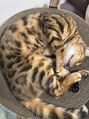 ボディライフバランス 京都御所(Body Life Balance) やんちゃだけどかわいい