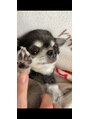 グレイスリリー 久屋 栄(grace lily) 実家には犬が5匹いるくらいの犬好きです(^^)