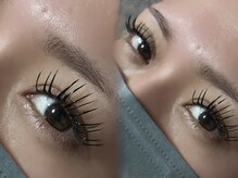 ウィル(WILL)/立ち上げ