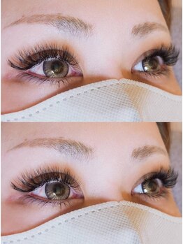 キャッツアイ(cat's eye)/ボリュームラッシュ160束/下40本