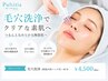 【毛穴撲滅&艶肌誕生】毛穴洗浄　（肌悩み別パック付）　60分