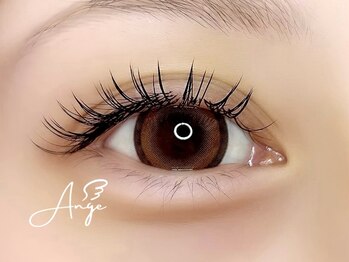 アンジュ(Ange)/フラットマットラッシュ140本