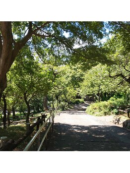 カラードルフィン 吉祥寺(COLOR DOLPHIN)/目の前は井の頭公園という好立地