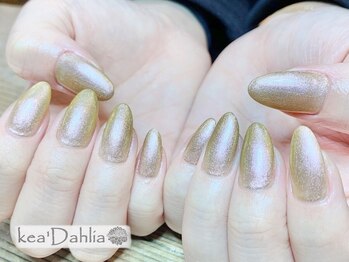 ケアダリア(kea’Dahlia)/ワンカラー【所沢/小手指】